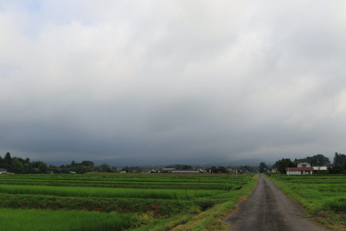 7月26日(月)　AM 7:16　前橋市苗ケ島町