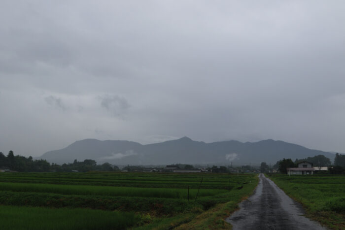 7月27日(火)　AM 7:56　前橋市苗ケ島町