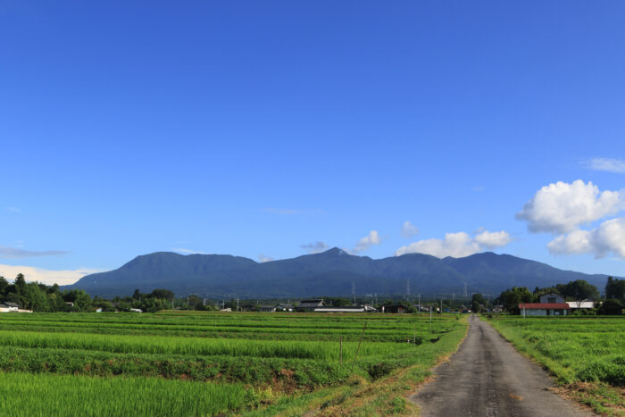 7月28日(水)　AM 7:53　前橋市苗ケ島町