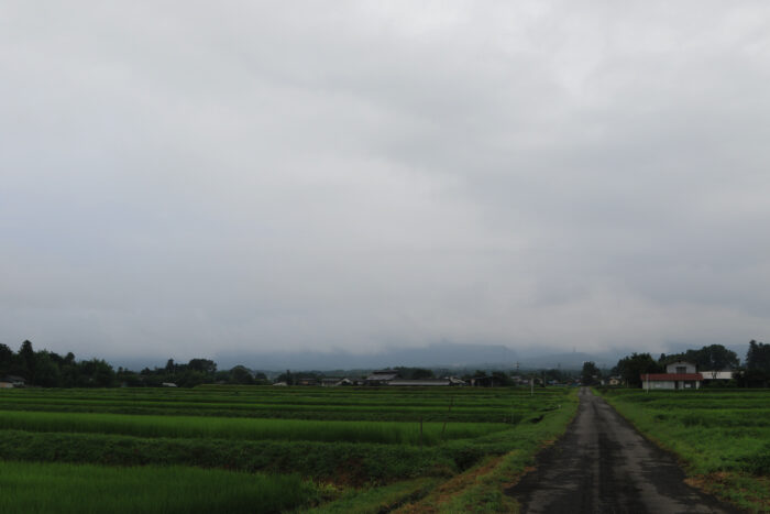 7月29日(木)　AM 7:24　前橋市苗ケ島町