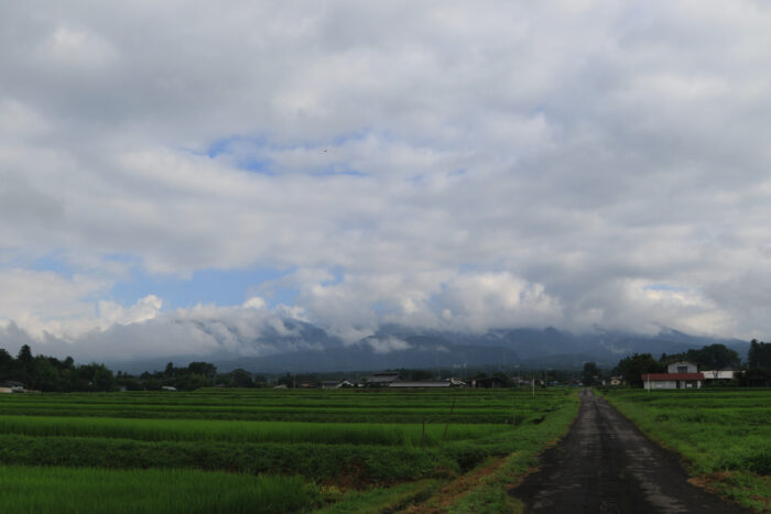 7月30日(金)　AM 7:52　前橋市苗ケ島町