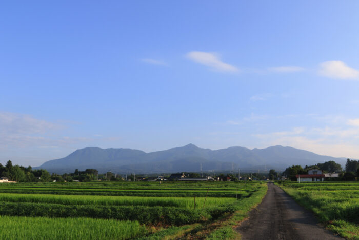 8月1日(日)　AM 6:11　前橋市苗ケ島町