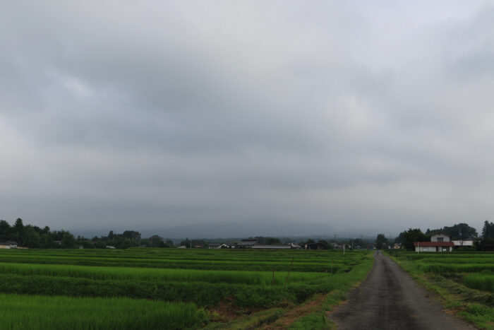 8月2日(月)　AM 7:28　前橋市苗ケ島町