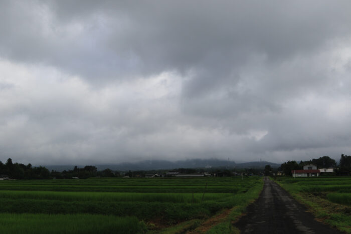 8月3日(火)　AM 7:42　前橋市苗ケ島町