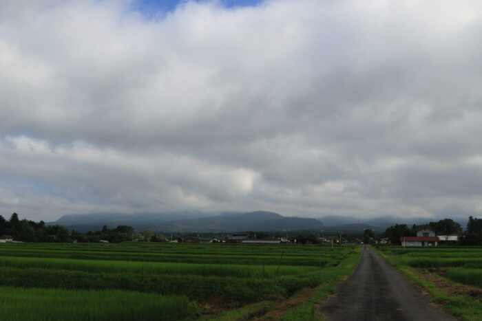 8月4日(水)　AM 7:45　前橋市苗ケ島町