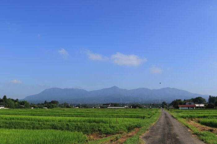 8月5日(木)　AM 7:51　前橋市苗ケ島町