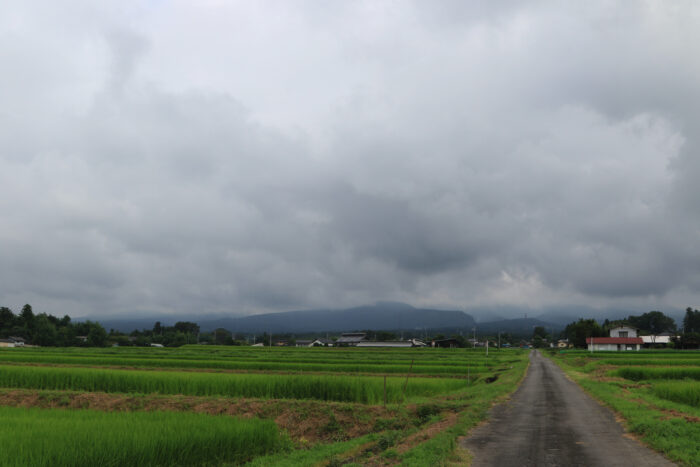 8月12日(木)　AM 7:49　前橋市苗ケ島町