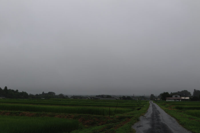 8月14日(土)　AM 8:46　前橋市苗ケ島町