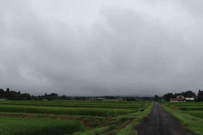 8月16日(月)　AM 7:40　前橋市苗ケ島町