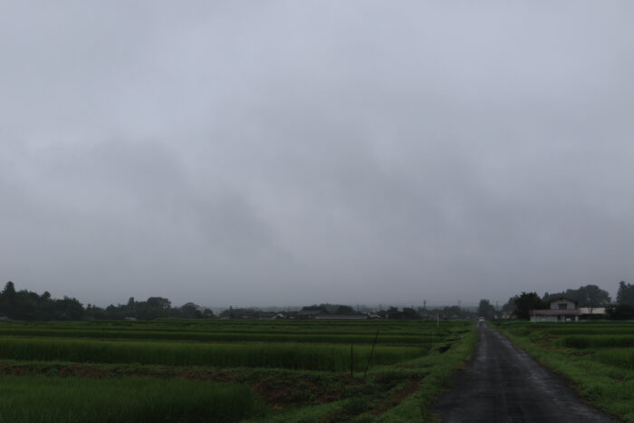 8月17日(火)　AM 7:47　前橋市苗ケ島町