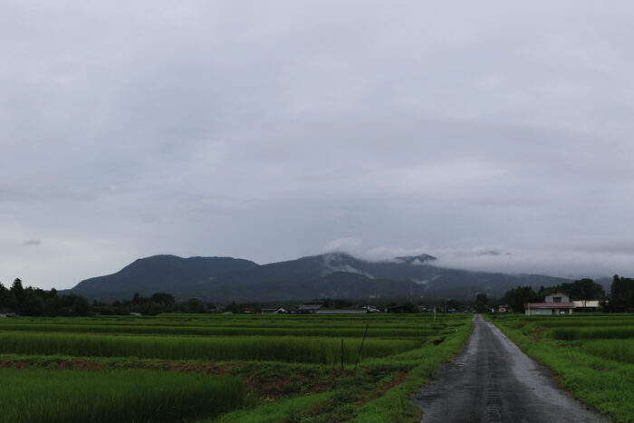 8月18日(水)　AM 7:48　前橋市苗ケ島町