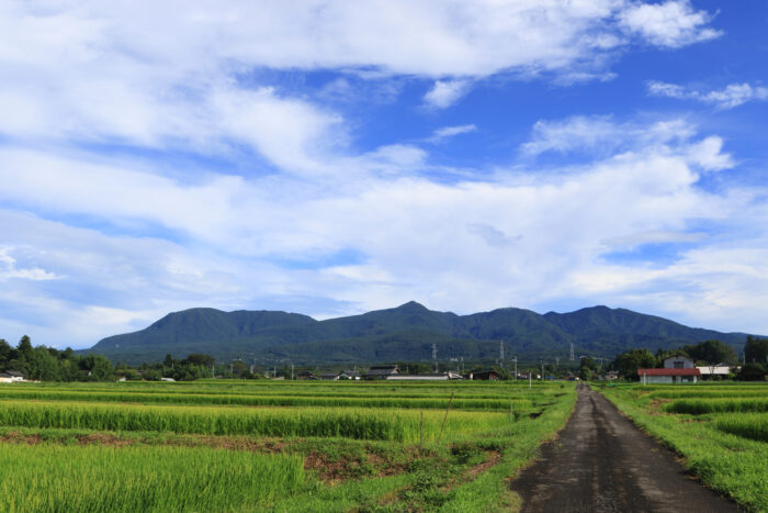 8月19日(木)　AM 7:54　前橋市苗ケ島町