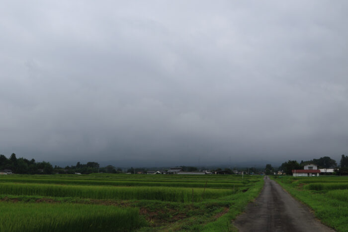 8月21日(土)　AM 8:41　前橋市苗ケ島町