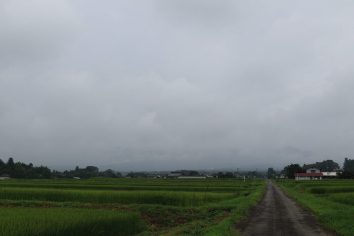 8月22日(日)　AM 8:18　前橋市苗ケ島町