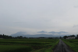 8月23日(月)　AM 7:37　前橋市苗ケ島町