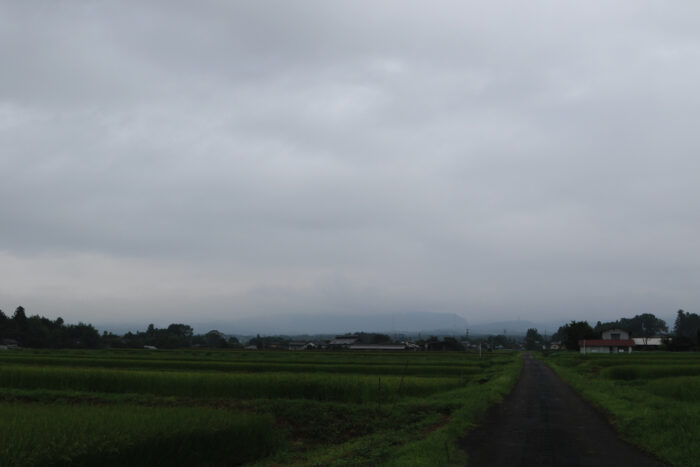 8月24日(火)　AM 7:54　前橋市苗ケ島町