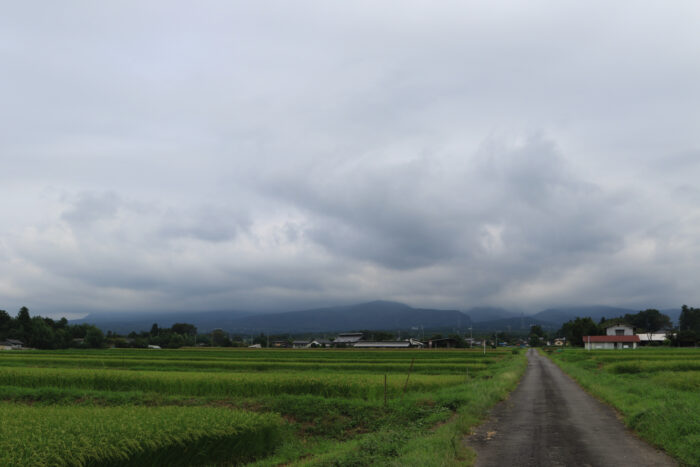 8月28日(日)　AM 8:56　前橋市苗ケ島町