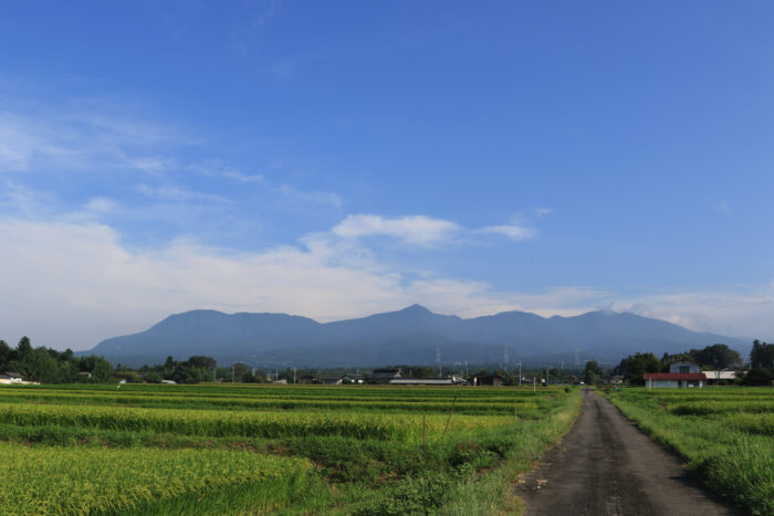 8月30日(月)　AM 7:41　前橋市苗ケ島町