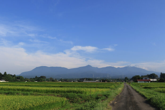 8月30日(月)　AM 7:41　前橋市苗ケ島町