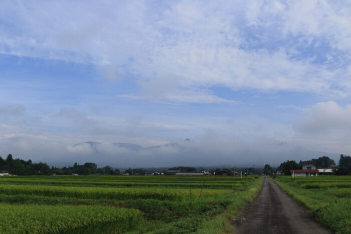 8月31日(火)　AM 7:53　前橋市苗ケ島町