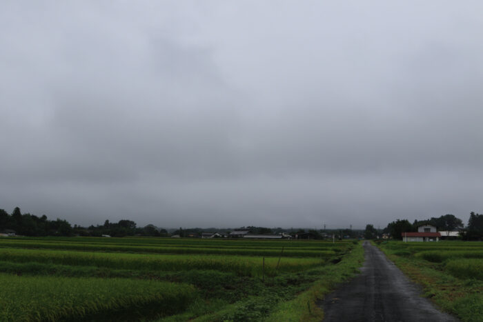 9月2日(木)　AM 7:53　前橋市苗ケ島町