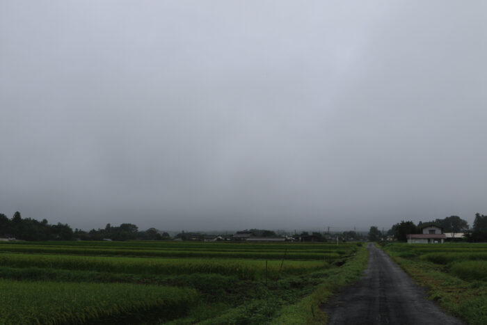 9月3日(金)　AM  7:56　前橋市苗ケ島町