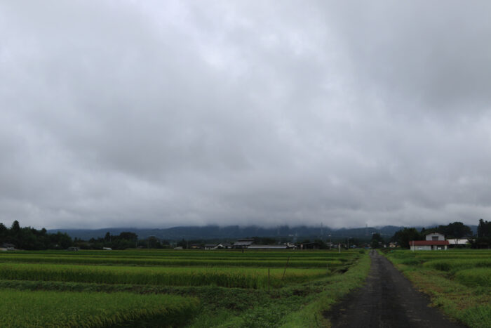 9月5日(日)　AM 8:56　前橋市苗ケ島町