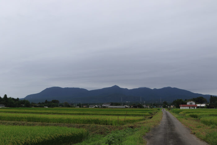 9月8日(水)　AM 7:50　前橋市苗ケ島町