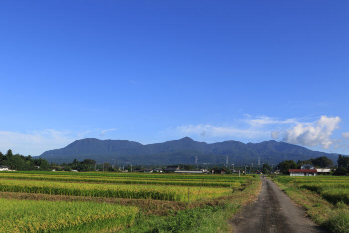 9月10日(金)　AM 7:53　前橋市苗ケ島町