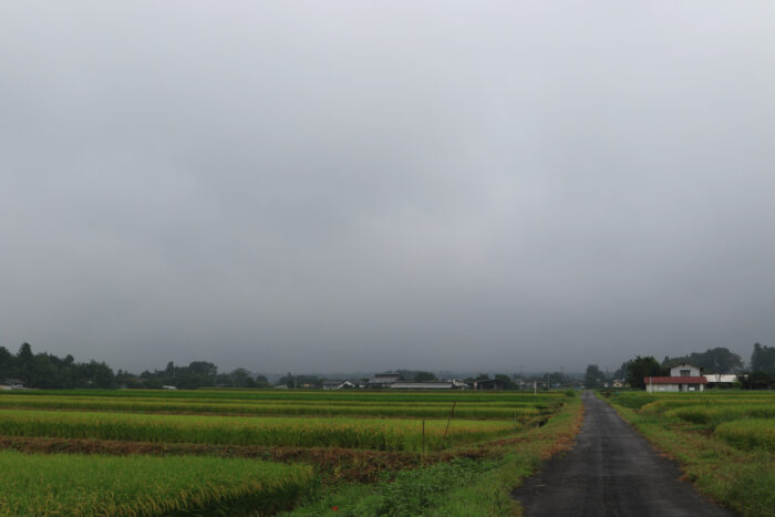 9月11日(土)　AM 8:59　前橋市苗ケ島町