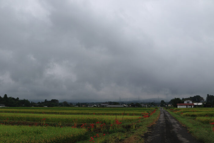 9月16日(木)　AM 7:41　前橋市苗ケ島町