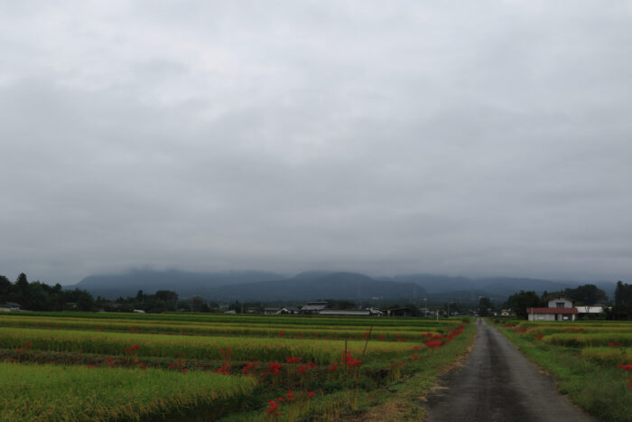 9月17日(金)　AM 7:42　前橋市苗ケ島町