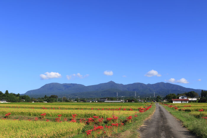 9月20日(月)　AM 8:30　前橋市苗ケ島町