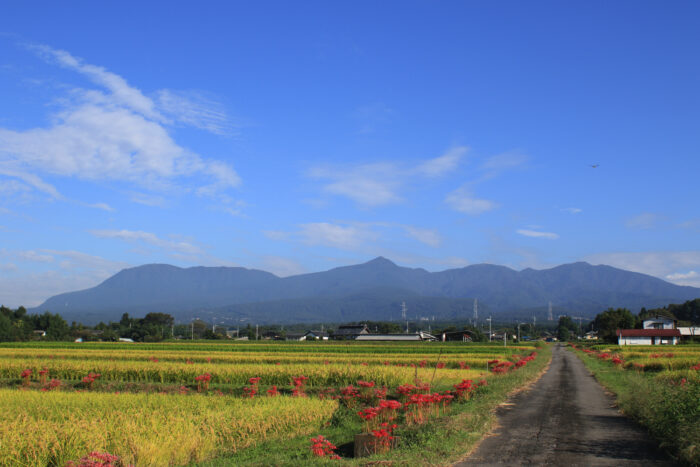 9月22日(水)　AM 7:56　前橋市苗ケ島町