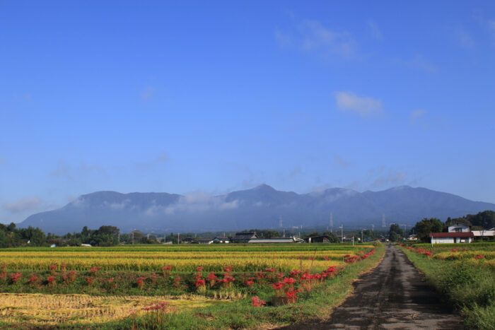 9月23日(木)　AM 7:52　前橋市苗ケ島町