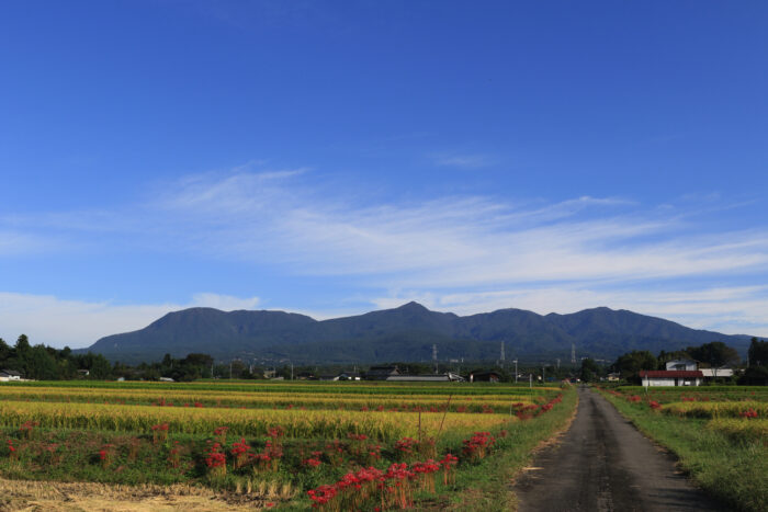 9月24日(金)　AM 7:47　前橋市苗ケ島町