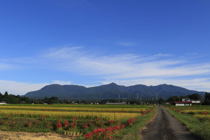 9月24日(金)　AM 7:47　前橋市苗ケ島町