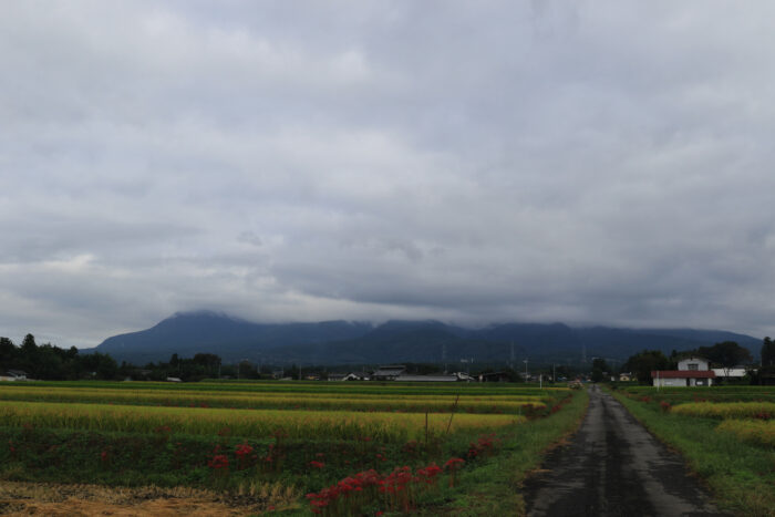 9月27日(月)　AM 7:50　前橋市苗ケ島町