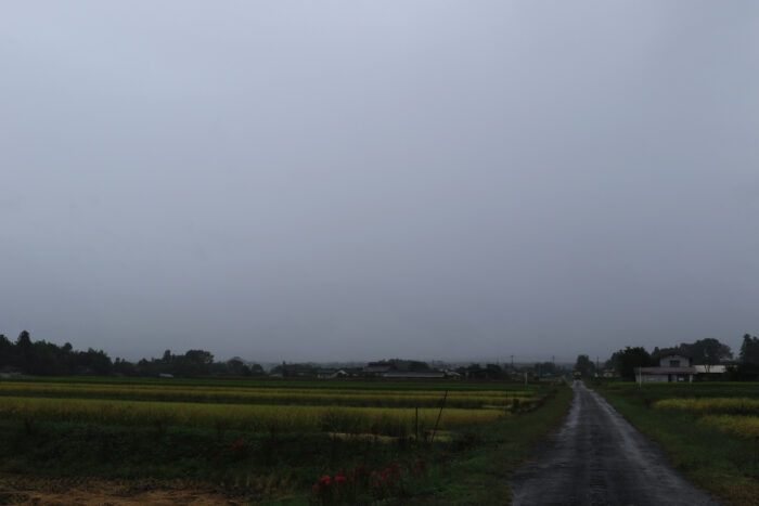 10月1日(金)　AM 7:56　前橋市苗ケ島町