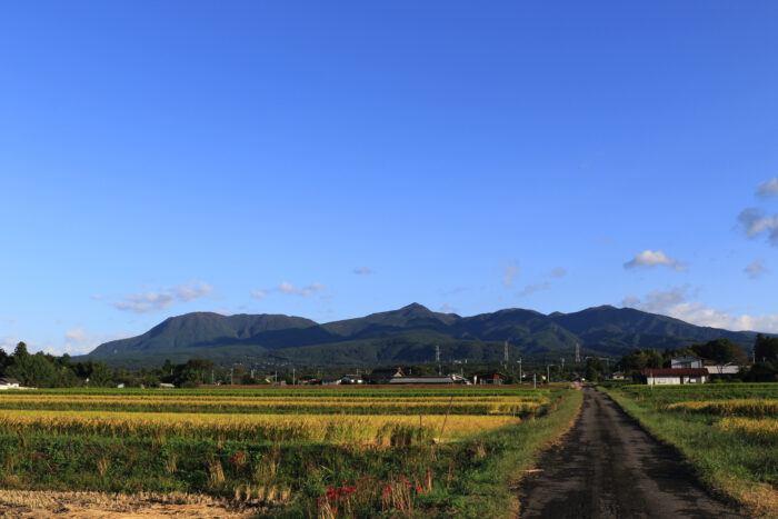 10月2日(土)　AM 6:51　前橋市苗ケ島町