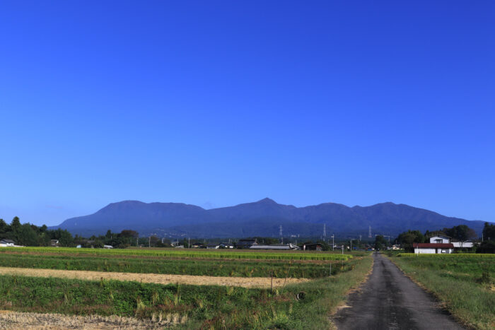 10月11日(月)　AM 8:01　前橋市苗ケ島町