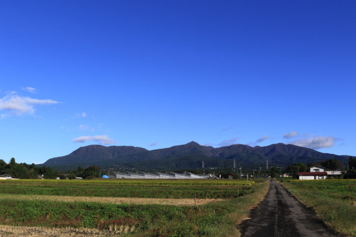 10月20日(水)　AM 7:49　前橋市苗ケ島町