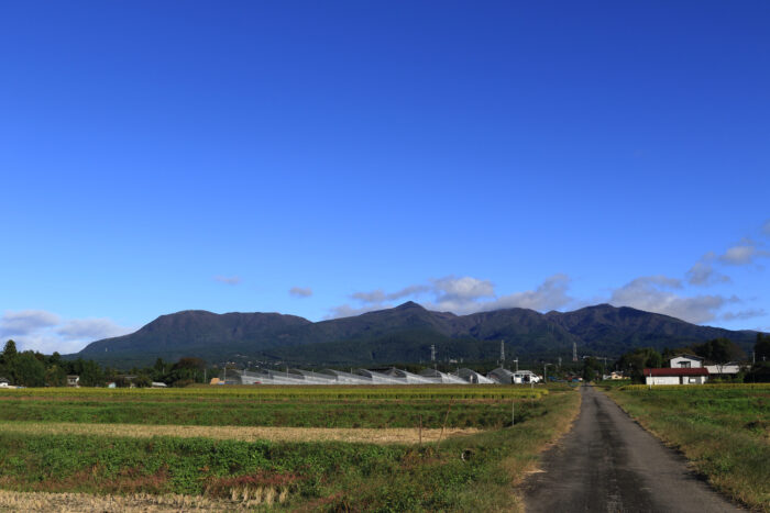 10月20日(水)　AM 7:59　前橋市苗ケ島町