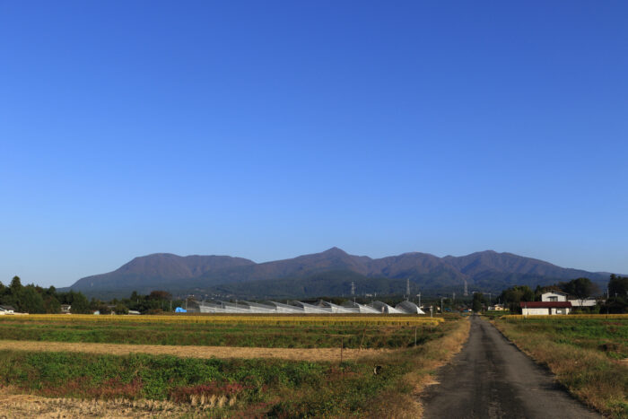 10月28日(木)　AM 7:44　前橋市苗ケ島町