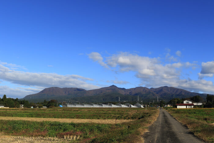 10月29日(金)　AM 7:49　前橋市苗ケ島町