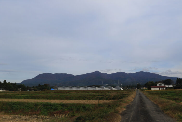 11月1日(月)　AM 7:44　前橋市苗ケ島町