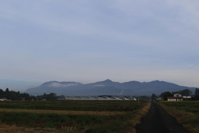 11月2日(火)　AM 7:53　前橋市苗ケ島町