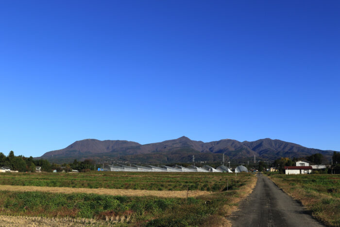 11月11日(木)　AM 7:48　前橋市苗ケ島町