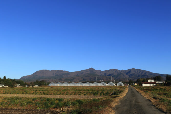 12月3日(金)　AM 8:00　前橋市苗ケ島町