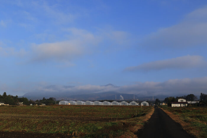 12月9日(木)　AM 8:01　前橋市苗ケ島町